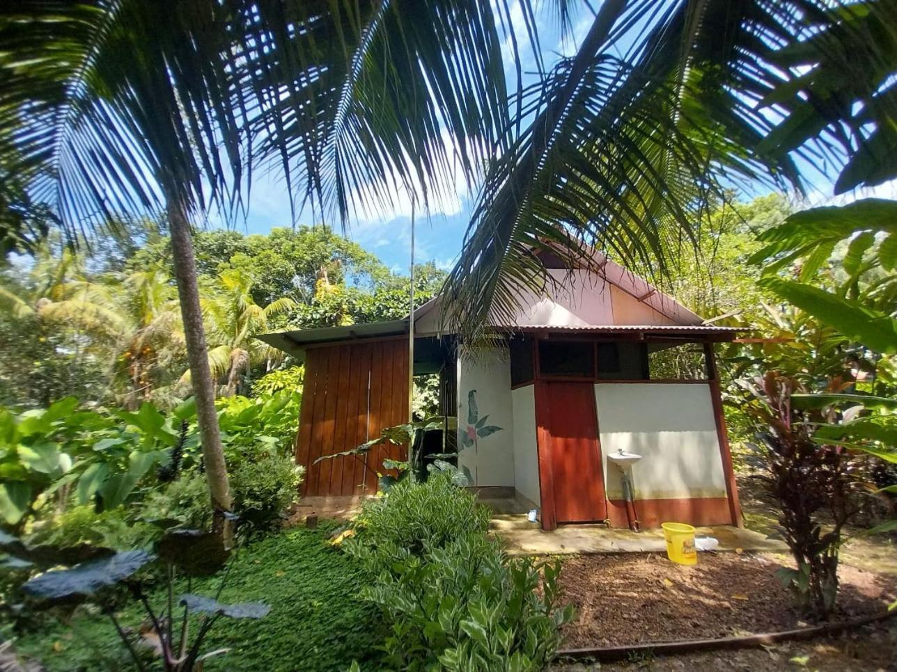 Jardin De Las Musas Puerto Maldonado Kamer foto