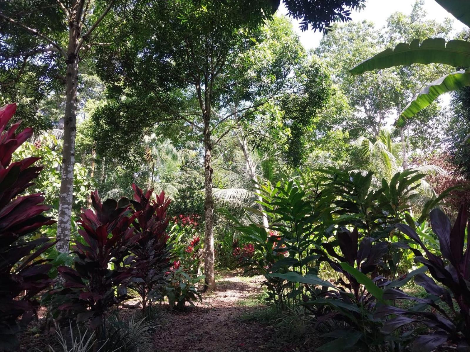 Jardin De Las Musas Puerto Maldonado Buitenkant foto