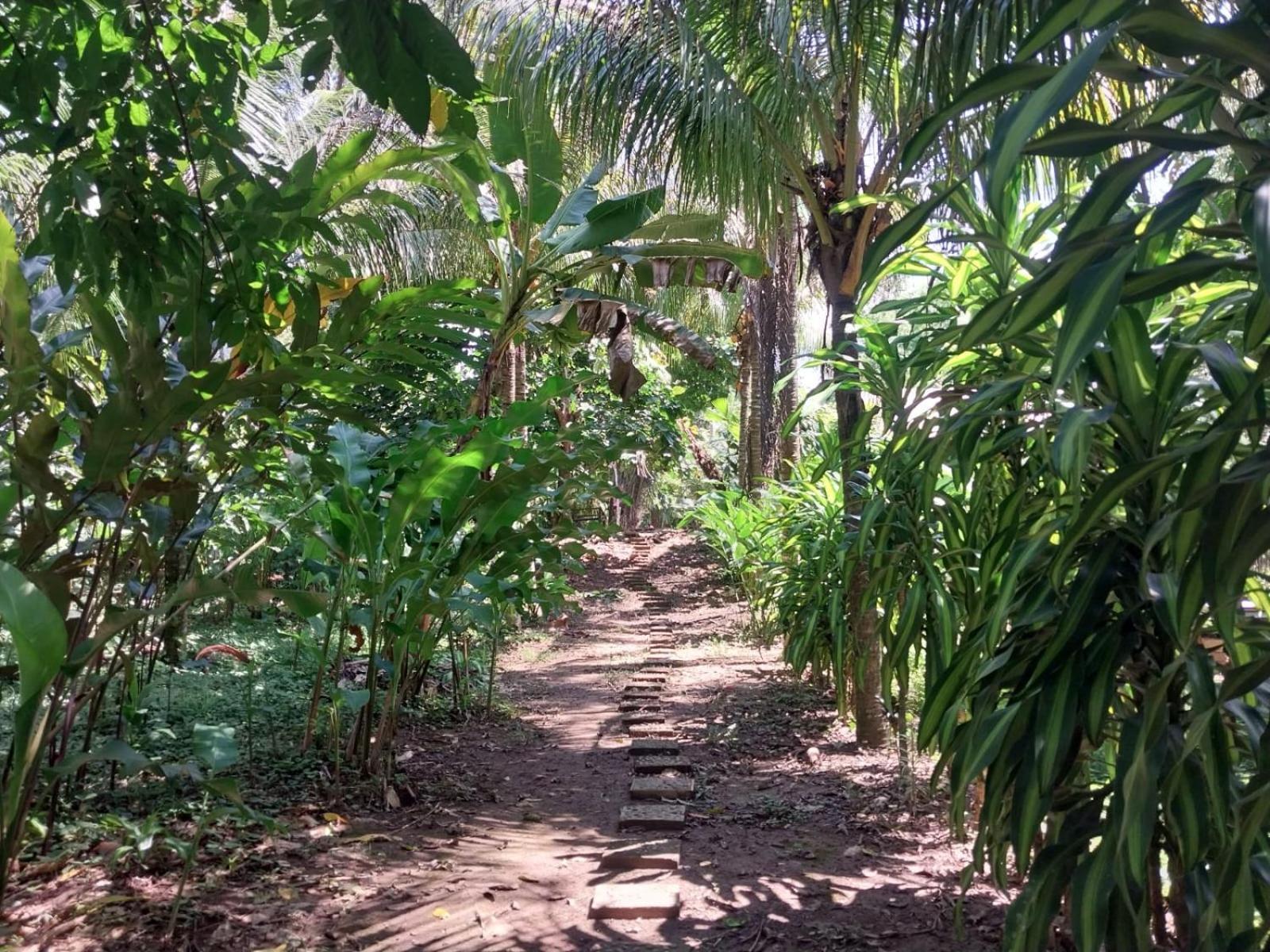 Jardin De Las Musas Puerto Maldonado Buitenkant foto