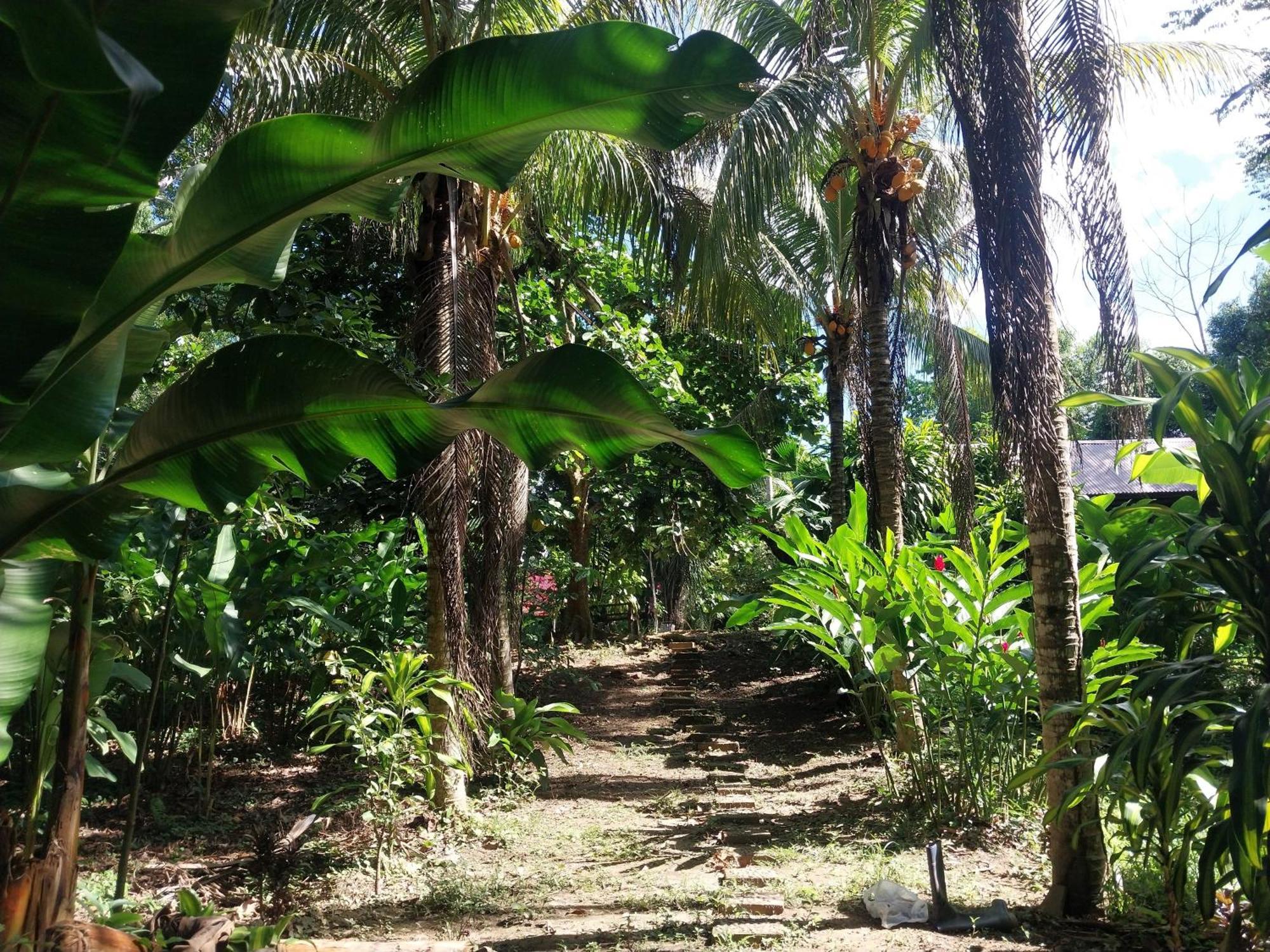 Jardin De Las Musas Puerto Maldonado Buitenkant foto