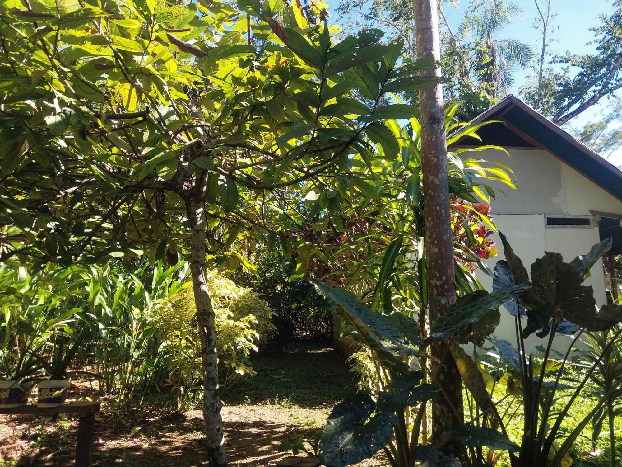 Jardin De Las Musas Puerto Maldonado Buitenkant foto